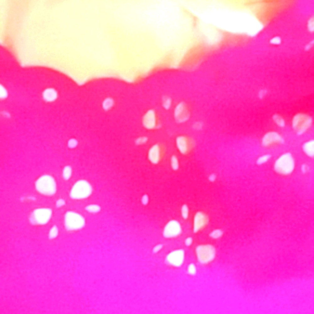 Hot Pink women's plus size 2X XXL Laser Cut Flowers Daisies Blouse Top Shirt NWT